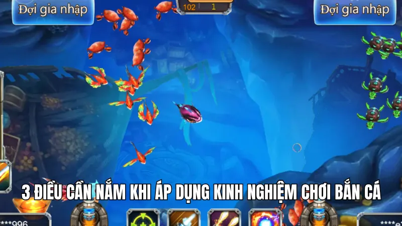 3 điều cần nắm khi áp dụng kinh nghiệm chơi bắn cá