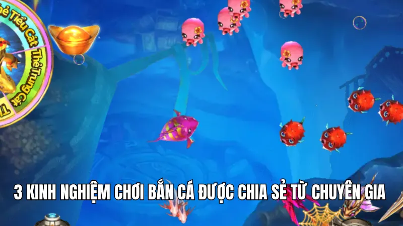 3 kinh nghiệm chơi bắn cá được chia sẻ từ chuyên gia