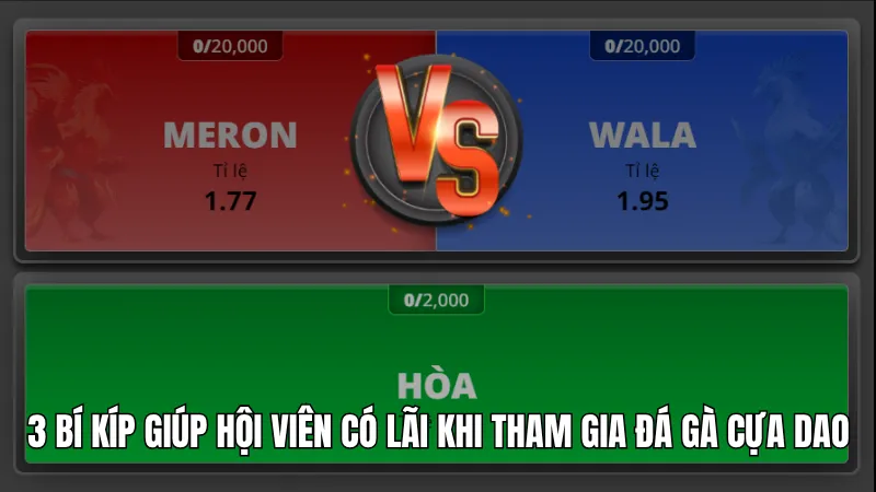 3 bí kíp giúp hội viên có lãi khi tham gia đá gà cựa dao