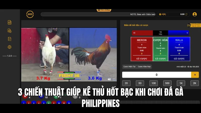 3 chiến thuật giúp kê thủ hốt bạc khi chơi đá gà Philippines