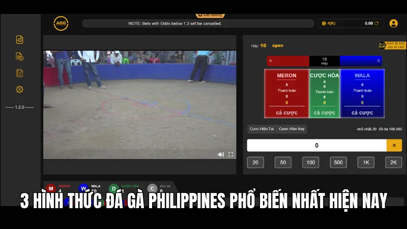 3 hình thức đá gà Philippines phổ biến nhất hiện nay