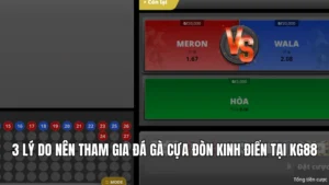 3 Lý Do Nên Tham Gia Đá Gà Cựa Đòn Kinh Điển Tại KG88