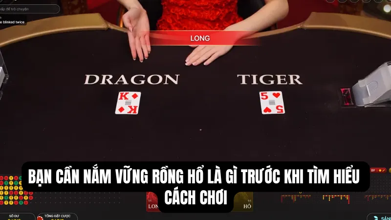 Bạn cần nắm vững Rồng Hổ là gì trước khi tìm hiểu cách chơi