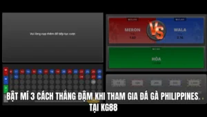 Bật Mí 3 Cách Thắng Đậm Khi Tham Gia Đá Gà Philippines Tại KG88