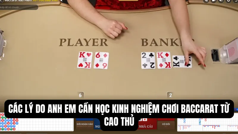 Các lý do anh em cần học kinh nghiệm chơi Baccarat từ cao thủ