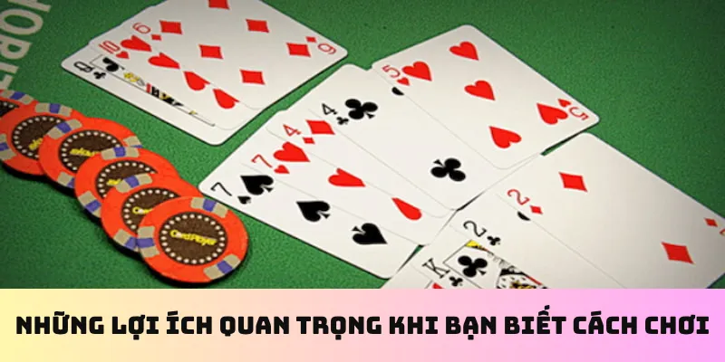 Những lợi ích quan trọng khi bạn biết cách chơi