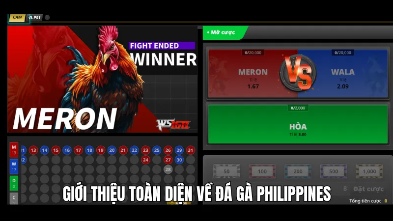 Giới thiệu toàn diện về đá gà Philippines