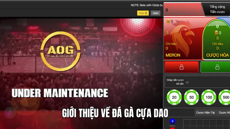 Giới thiệu về đá gà cựa dao