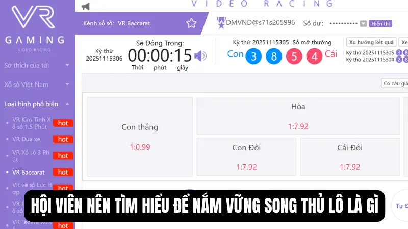Hội viên nên tìm hiểu để nắm vững song thủ lô là gì