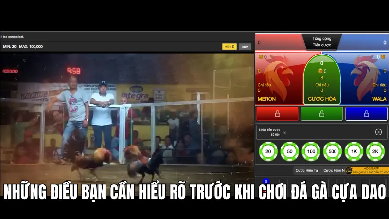 Những điều bạn cần hiểu rõ trước khi chơi đá gà cựa dao